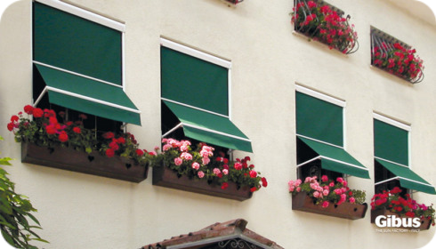 Tende esterne per finestre Rovigo